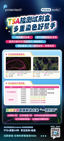 TSA检测试剂盒