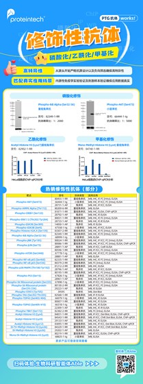 修饰性抗体海报