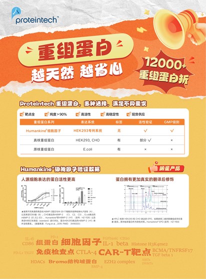 重组蛋白介绍单页（2026）