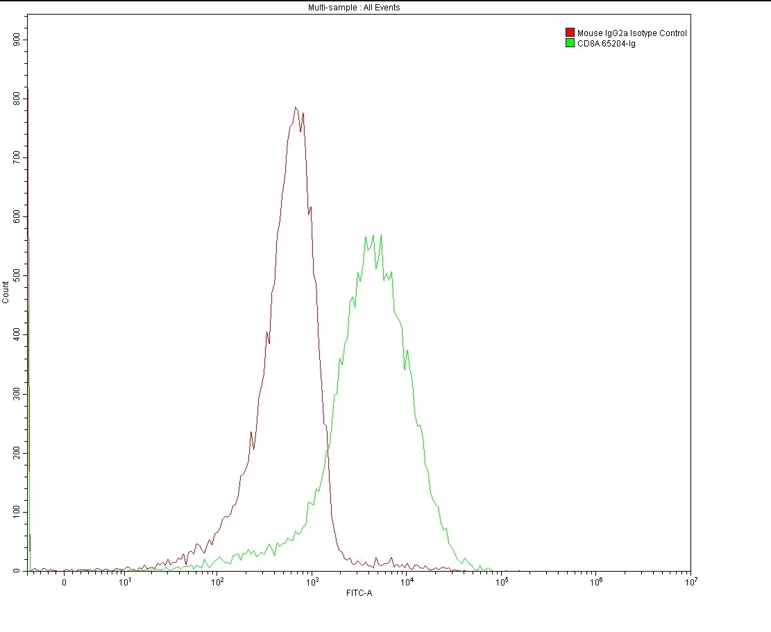 Flow cytometry (FC) analysis of 1X10^6 MOLT4 cells surface stained with 0.2 ug anti-Human CD8 antibody (65204-1-Ig, Clone: UCHT4) and Mouse IgG2a Isotype Control antibody (66360-3-Ig).  Multi-rAb CoraLite® Plus 488-Goat Anti-Mouse Recombinant Secondary Antibody (H+L) (RGAM002) was used for detection. 