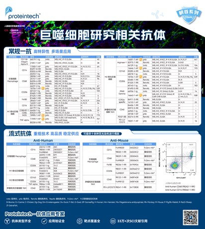 巨噬细胞相关抗体