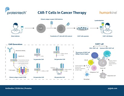CAR-T Cells in Cancer Therapy