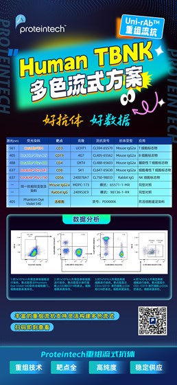 人TBNK流式Panel