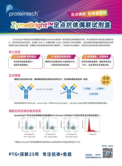 创新产品-定点抗体偶联试剂盒