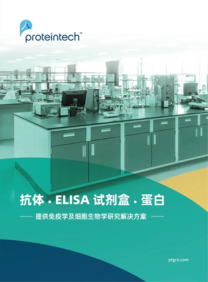 品牌介绍折页