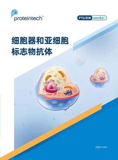 细胞器及亚细胞标志物抗体折页