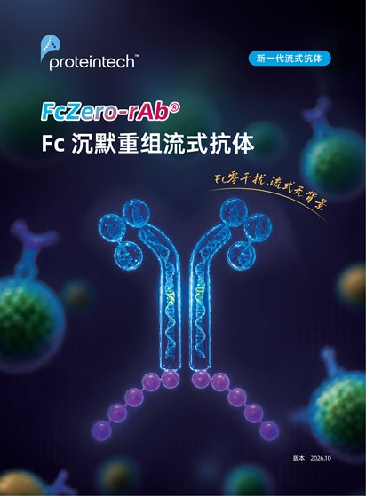 Fc沉默重组流式抗体折页