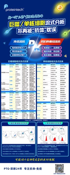 巨噬细胞/单核细胞流式抗体