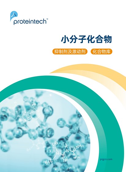 小分子化合物三折页