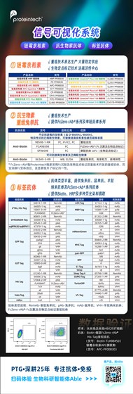 链霉亲和素及标签抗体海报