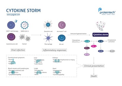 Cytokine Storm