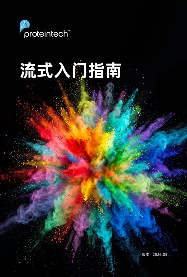 流式入门指南