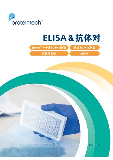 ELISA & 抗体对三折页