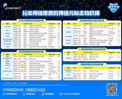 分泌神经递质的神经元抗体