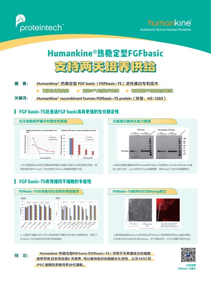 热稳定型FGFbasic单页