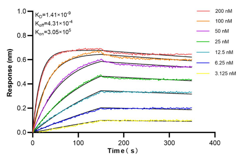 scFv data 4