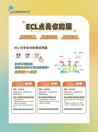 ECL化学发光检测试剂盒单页