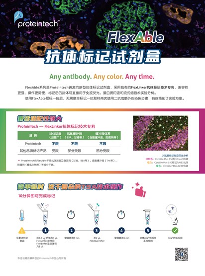 FlexAble抗体标记试剂盒单页