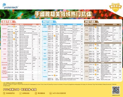 干细胞相关抗体海报