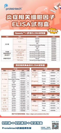 炎症相关细胞因子ELISA试剂盒