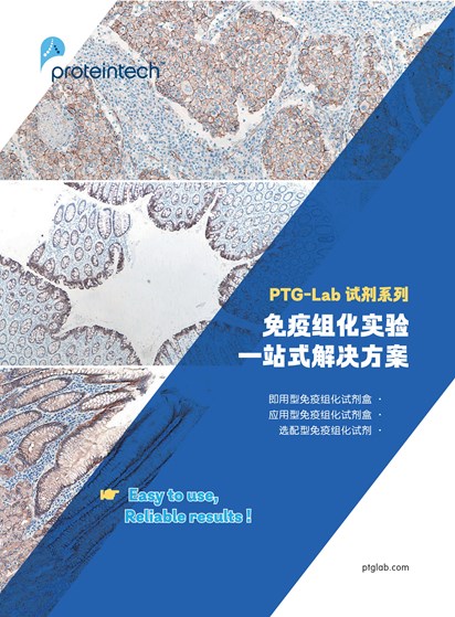 即用型免疫组化试剂盒