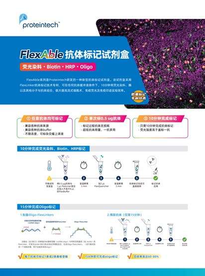 FlexAble抗体标记试剂盒