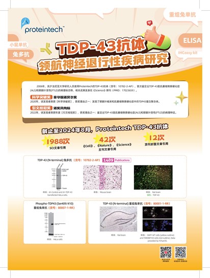 TDP-43 抗体合集