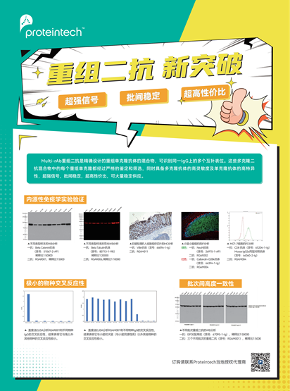 重组二抗单页