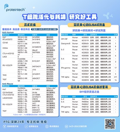 T细胞活化与耗竭产品海报