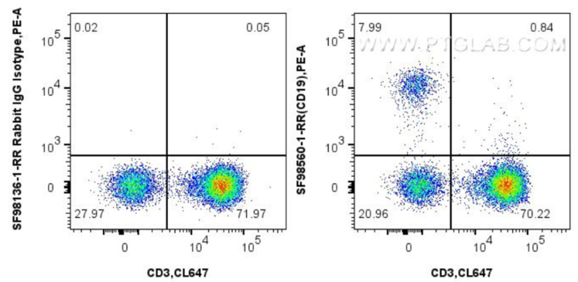 scFv data 2