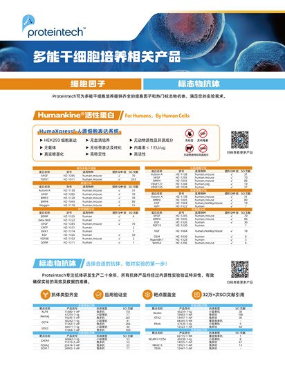 多功能干细胞单页