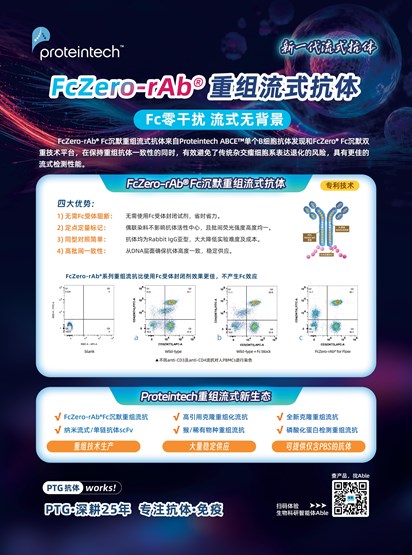 Fc沉默重组流抗单页