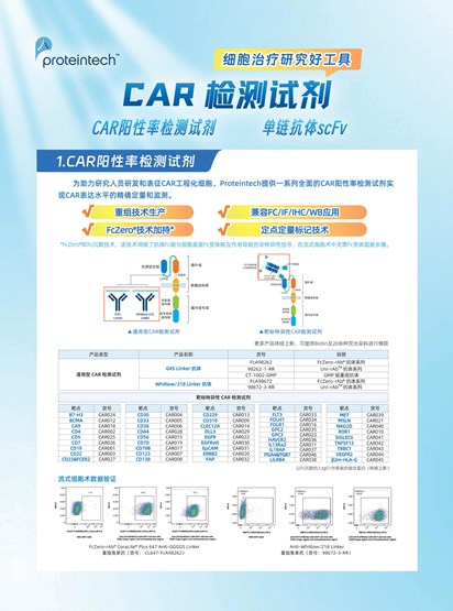 CAR检测试剂