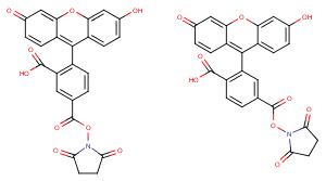 CAS No.: 117548-22-8