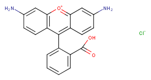 CAS No.: 13558-31-1