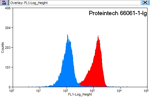 FC experiment of HeLa using 66061-1-Ig