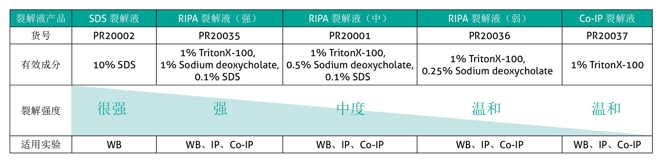 附录1：Proteintech各种裂解液的特点.jpg