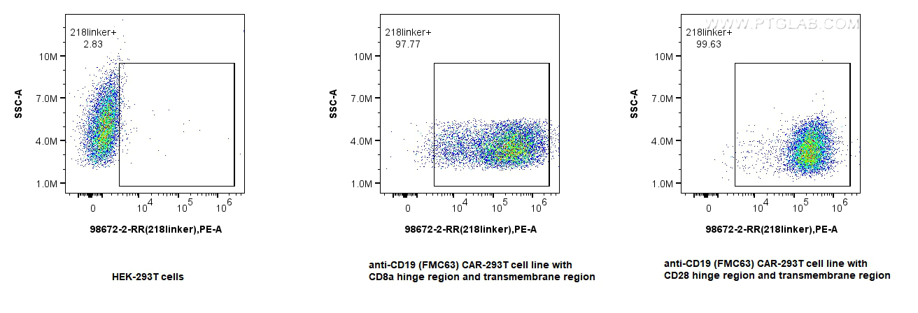 FC experiment of Transfected HEK-293T using 98672-2-RR (same clone as 98672-2-PBS)