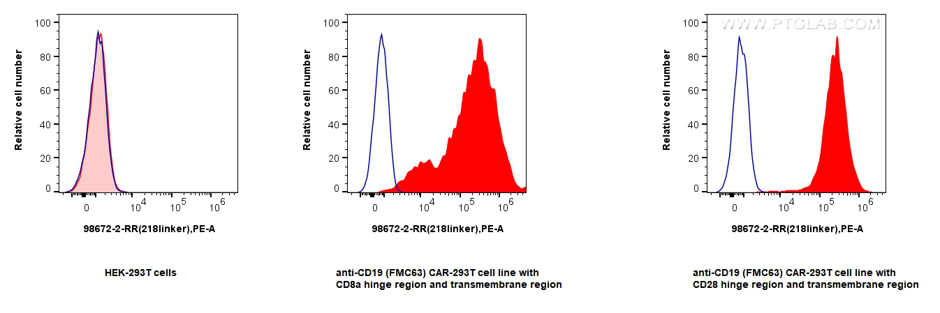 FC experiment of Transfected HEK-293T using 98672-2-RR (same clone as 98672-2-PBS)