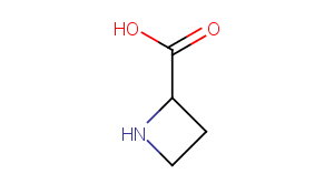 CAS No.: 2517-04-6