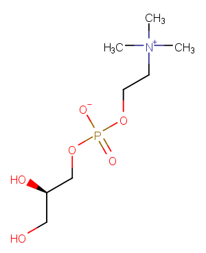 CAS No.: 28319-77-9