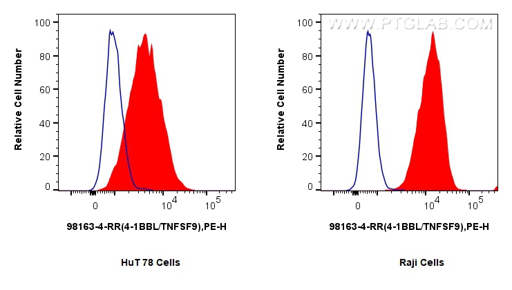 FC experiment of HuT 78 using 98163-4-RR (same clone as 98163-4-PBS)