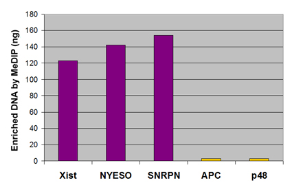 5-Methylcytosine antibody (mAb) (Clone 33D3) tested by Methyl-DNA Immunoprecipitation (MeDIP). Human DNA (500 ng) digested with Mse I was subjected to MeDIP and then analyzed by quantitative real-time PCR with primers specific for genes that are normally methylated (Xist, NYESO and SNRPN) or unmethylated (APC and p48). The MeDIP'd DNA (enriched DNA) was plotted.