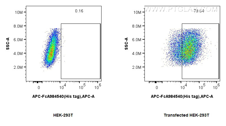 FC experiment of Transfected HEK-293 using APC-FcA98450 FC experiment of Transfected HEK-293 using APC-FcA98450