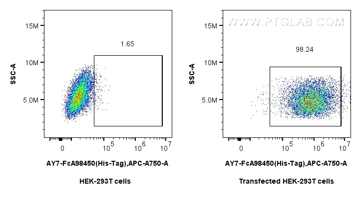FC experiment of Transfected HEK-293T using AY7-FcA98450