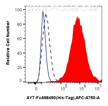 FC experiment of Transfected HEK-293T using AY7-FcA98450