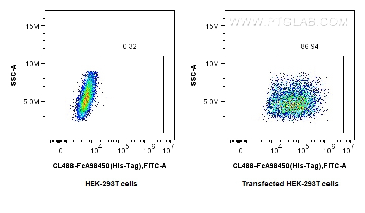 FC experiment of Transfected HEK-293T using CL488-FcA98450 FC experiment of Transfected HEK-293T using CL488-FcA98450