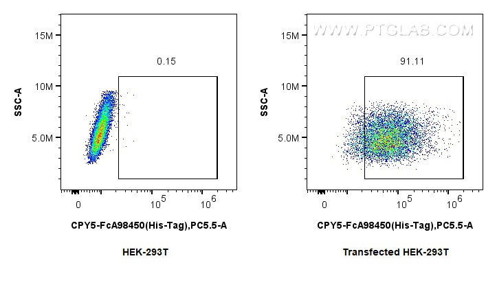 FC experiment of Transfected HEK-293T using CPY5-FcA98450
