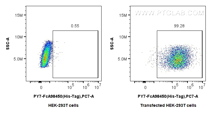 FC experiment of Transfected HEK-293T using PY7-FcA98450