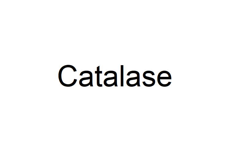 CAS No.: 9001-05-2